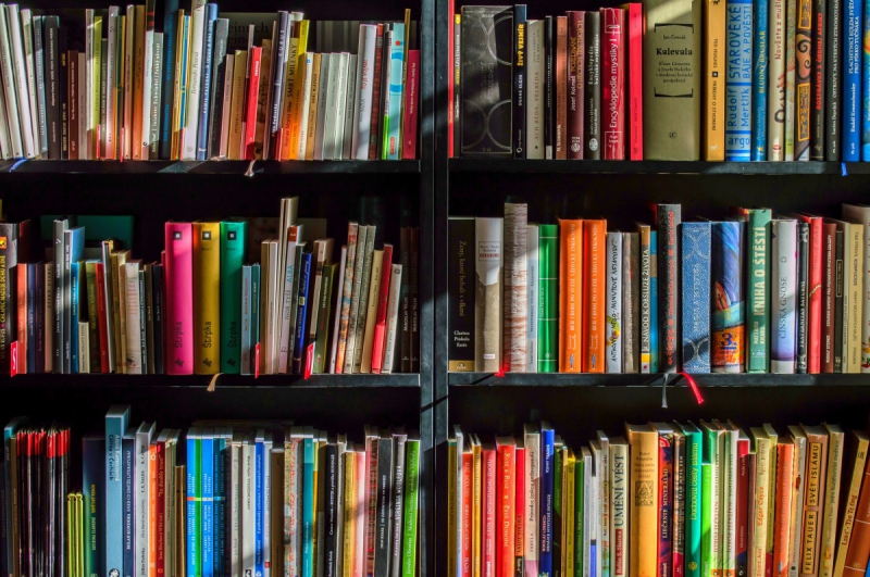 magasin-STE ANASTASIE SUR ISSOLE-min_books_bookstore_book_reading_shop_writer_sale_books_read-822866